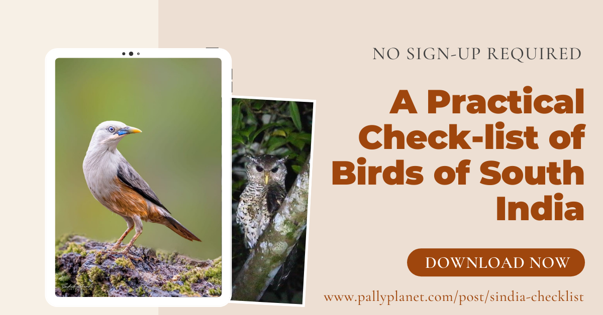 Cover Photo of South India Bird Check List