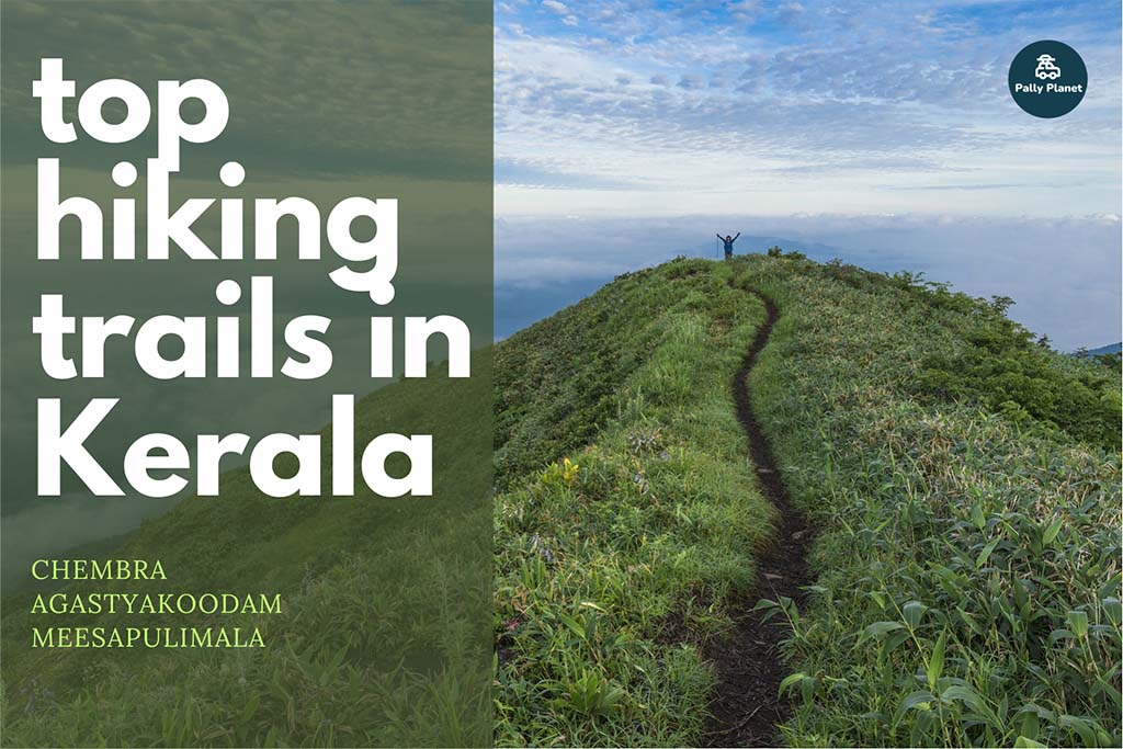 Blog cover for best hiking places in Kerala