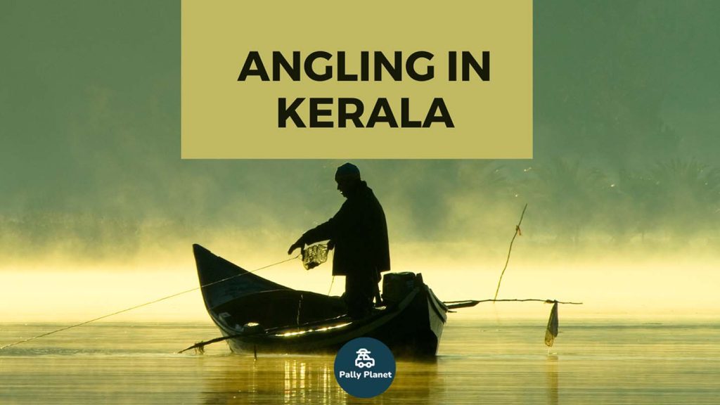 Blog cover for Angling in Kerala