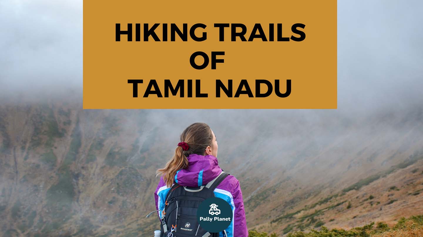 Blog cover for Hiking Trails of Tamil Nadu
