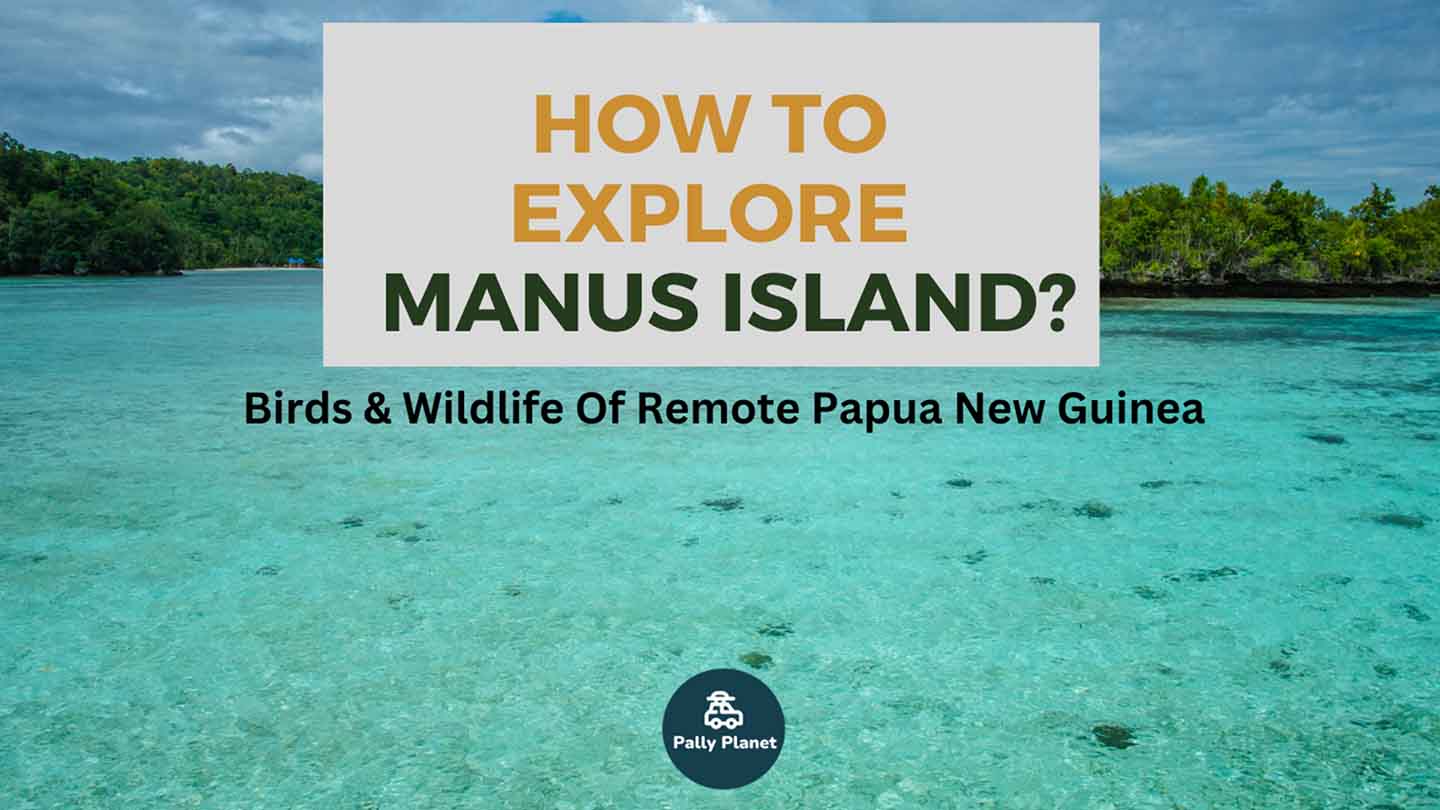 blog cover for how to explore Manus Island Papua New Guinea