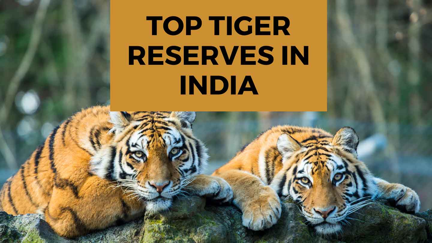 Blog cover for Top Tiger Reserves in India
