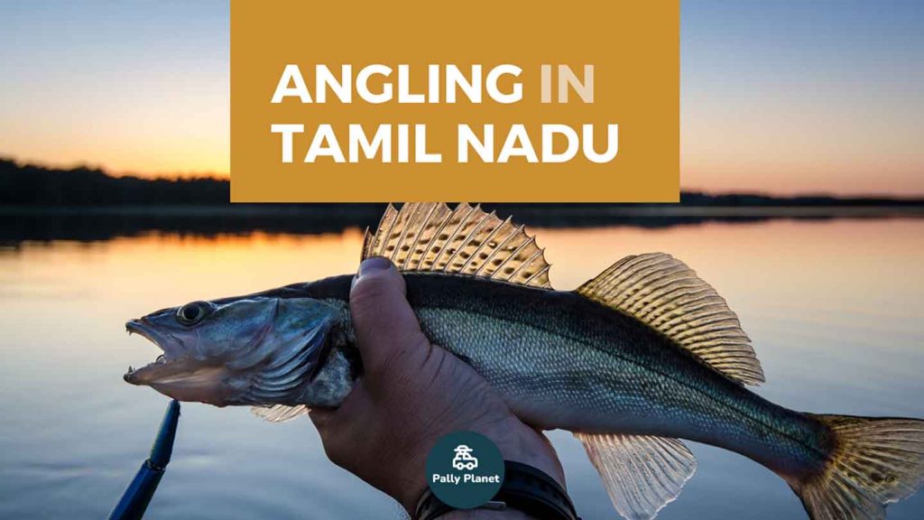 Blog cover for angling in Tamil Nadu
